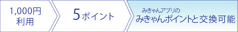 1,000円利用で1ポイント